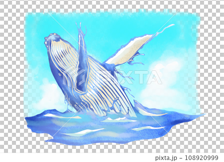 青空と鯨の風景画 108920999