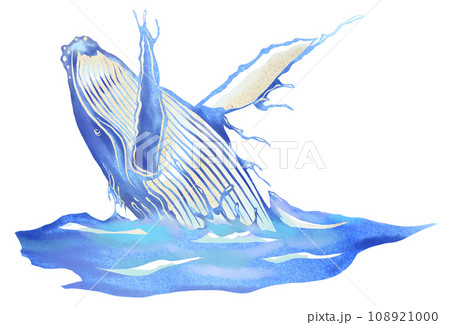 鯨ブリーチングの水彩画風イラスト 108921000