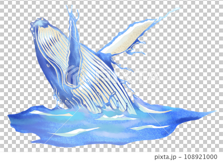 鯨ブリーチングの水彩画風イラスト 108921000