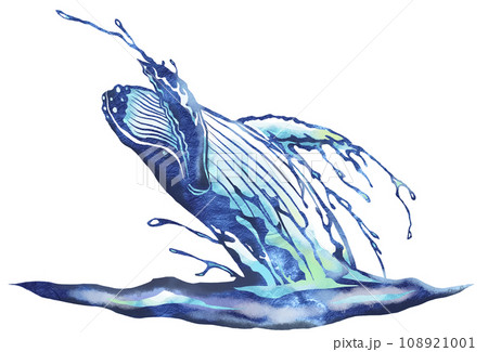 水しぶきを上げブリーチングする鯨イラスト 水しぶきを上げブリーチングする鯨イラスト 108921001