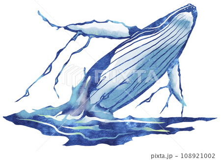パネライ 希少 クジラアート whale クジラ 海景 絵画 seapaint