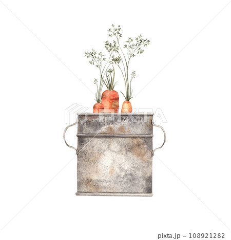 Watercolor composition with carrots and a rusty gray barrel, simmiyar on a white background. Can be used for print design, cards, fabric, menus. Watercolor composition with carrots and a rusty gray barrel, simmiyar on a white background. Can be used for print design, cards, fabric, menus. 108921282