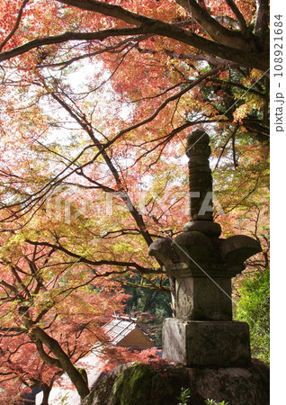大興善寺の紅葉 大興善寺の紅葉 108921684