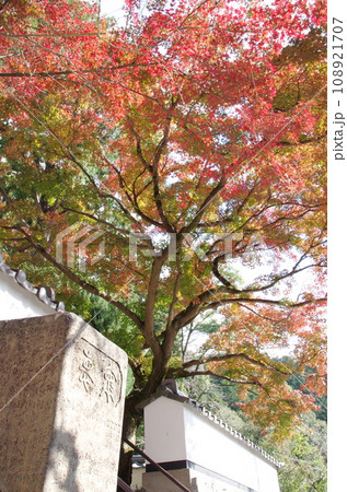 大興善寺の紅葉 大興善寺の紅葉 108921707