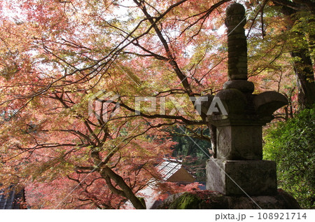 大興善寺の紅葉 大興善寺の紅葉 108921714