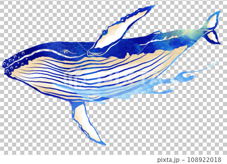 大海原のクジライラスト 108922018