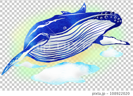 空飛ぶ鯨のイラストのイラスト素材 [108922020] - PIXTA