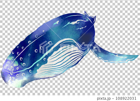 迫力の鯨イラスト 108922031