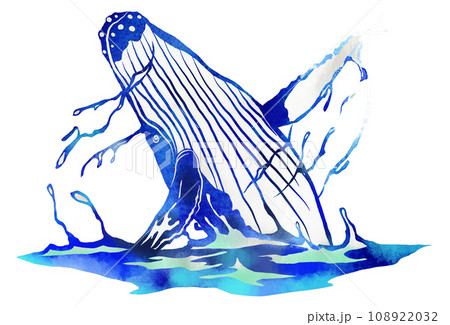 ブリーチングする鯨のイラスト ブリーチングする鯨のイラスト 108922032