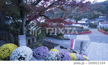 紅葉のある風景(修禅寺) 紅葉のある風景(修禅寺) 108922184