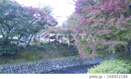 紅葉のある風景(修禅寺) 紅葉のある風景(修禅寺) 108922186