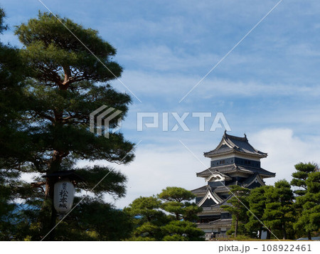 青空と松の木と国宝松本城 108922461