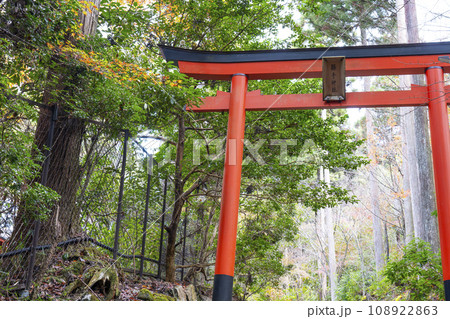 秋の京都大原　勝手神社の朱鳥居 108922863