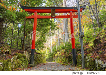 秋の京都大原 勝手神社の朱鳥居 秋の京都大原 勝手神社の朱鳥居 108922866