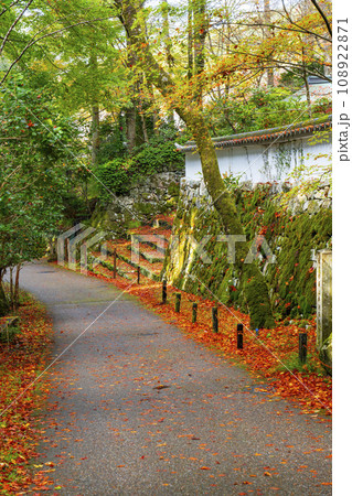 紅葉が美しい来迎院参道 紅葉が美しい来迎院参道 108922871