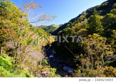 群馬県と埼玉県の県境にある三波石峡 108923003