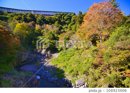 群馬県と埼玉県の県境にある三波石峡 群馬県と埼玉県の県境にある三波石峡 108923006