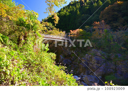 群馬県と埼玉県の県境にある三波石峡 108923009