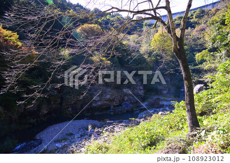 群馬県と埼玉県の県境にある三波石峡 108923012