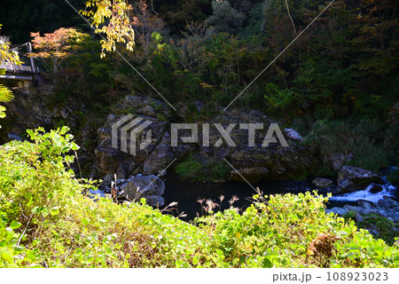 群馬県と埼玉県の県境にある三波石峡 108923023
