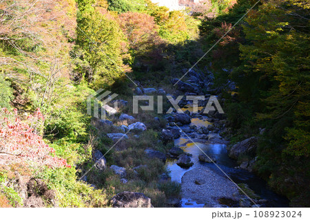 群馬県と埼玉県の県境にある三波石峡 108923024