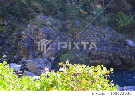 群馬県と埼玉県の県境にある三波石峡 108923030