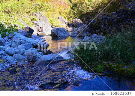 群馬県と埼玉県の県境にある三波石峡 108923037