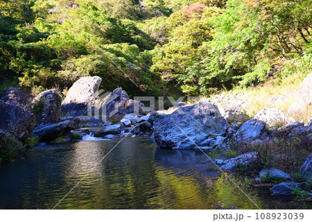 群馬県と埼玉県の県境にある三波石峡 108923039