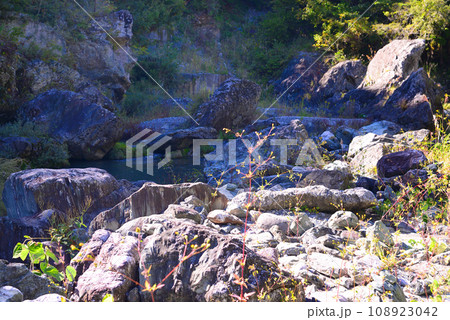 群馬県と埼玉県の県境にある三波石峡 108923042