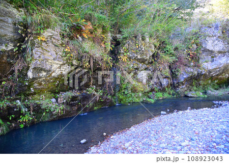 群馬県と埼玉県の県境にある三波石峡 108923043