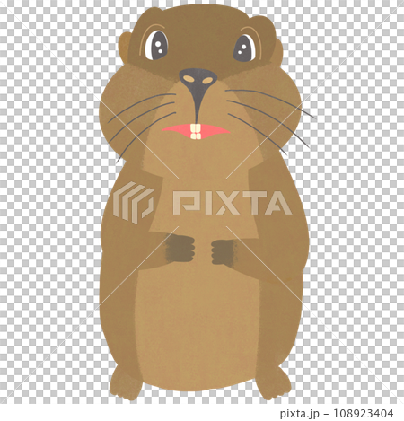 cartoon Groundhog 108923404