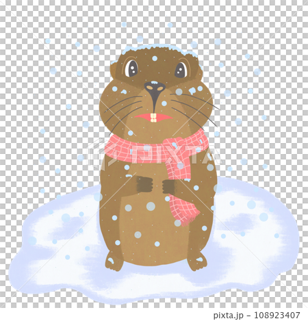 Cartoon groundhog in the snow 108923407