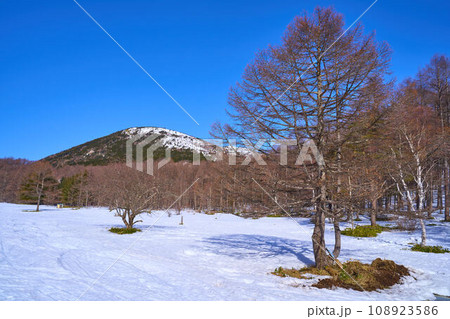 冬の長野県東御市の臼窪湿原(うすくぼしつげん)付近から北西側の湯ノ丸山を見る 108923586