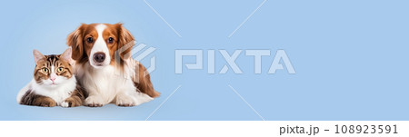 A dog and a cat lie together on the background. 108923591