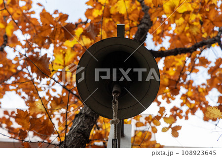 紅葉を背景に下から見上げたベル 108923645