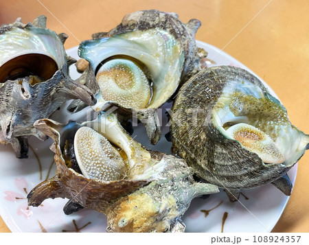 波戸岬のサザエ小屋 波戸岬のサザエ小屋 108924357