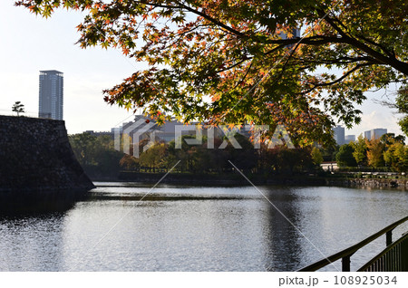 秋の大阪城公園 秋の大阪城公園 108925034