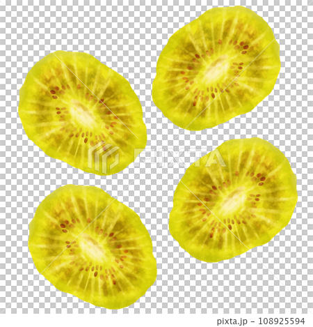 Dried fruits kiwi 108925594