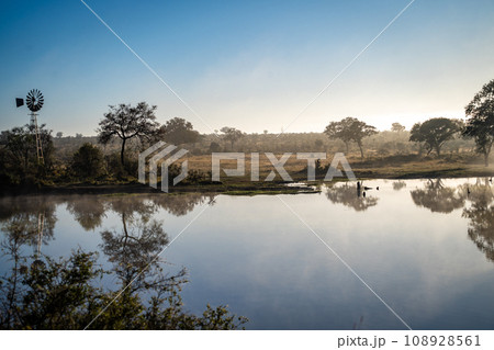 Savannah pond in the morning fog in Kruger National Park, South Africa Savannah pond in the morning fog in Kruger National Park, South Africa 108928561