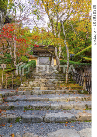 秋の寂光院 紅葉に包まれた山門と石段の参道(京都府京都市左京区大原) 秋の寂光院 紅葉に包まれた山門と石段の参道(京都府京都市左京区大原) 108928589