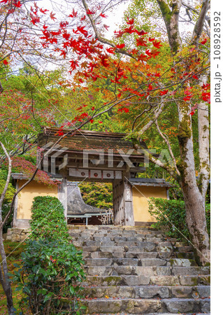 秋の寂光院 紅葉に包まれた山門と石段の参道(京都府京都市左京区大原) 秋の寂光院 紅葉に包まれた山門と石段の参道(京都府京都市左京区大原) 108928592