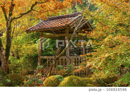 寂光院　紅葉に包まれた諸行無常の鐘楼（京都府京都市左京区大原） 108928596