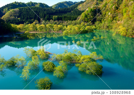 春の絶景　秋扇湖の水没林夕景　秋田県 108928968
