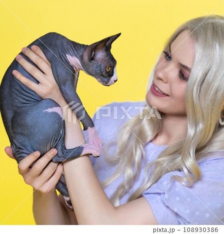 Sphinx kitten is in hands of young woman with blonde hair. Yellow background 108930386