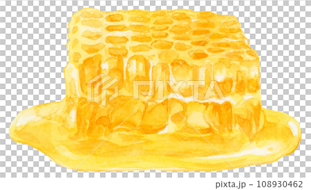 Honeycomb watercolor illustration 108930462