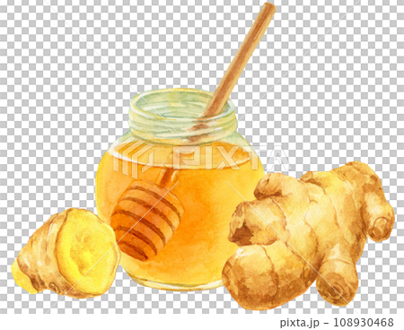 ハチミツ生姜の水彩イラスト ハニーディッパーが入った瓶 ハチミツ生姜の水彩イラスト ハニーディッパーが入った瓶 108930468