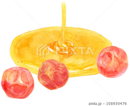 はちみつ梅の水彩イラスト はちみつ梅の水彩イラスト 108930476