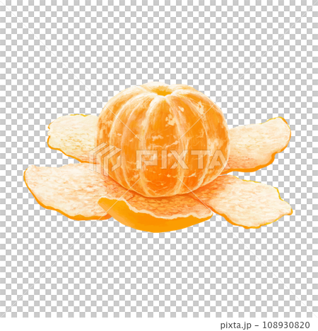 Realistic peeled tangerine illustration 108930820