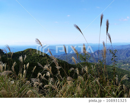 愛媛県南宇和郡愛南町_青空とススキと山並みの眺望4 108931325