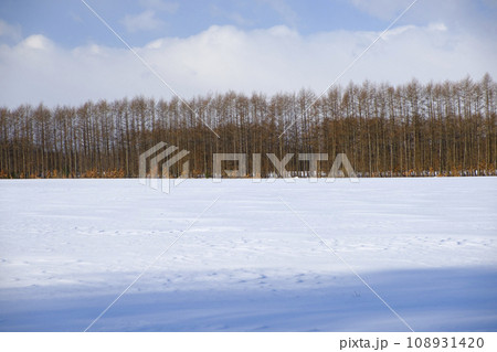 冬の十勝平野の雪景色 108931420
